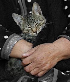 Psi a kočky prospívají duševnímu zdraví