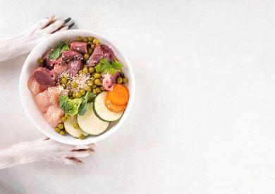 Moderní trendy v psí výživě – BARF vs. granule vs. vařená strava