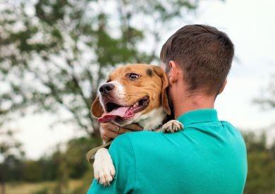 Nejvtipnější psí pověry z různých kultur