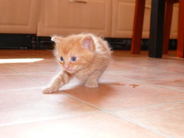 Vánoční inspirace