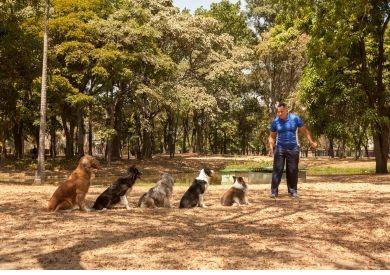 Proč Vás pes všude sleduje a co Vám tím říká
