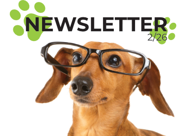 Co je u nás nového? Newsletter 2/26
