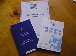 Jak se stanu chovatelem?