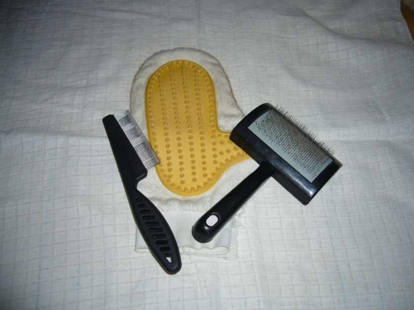 Péče o našeho kočičího kamaráda