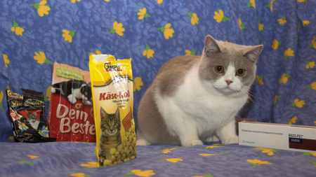 Doplňky kočičí stravy