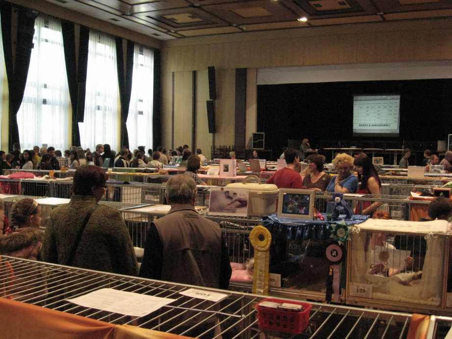 Mezinárodní výstava koček Bohumín