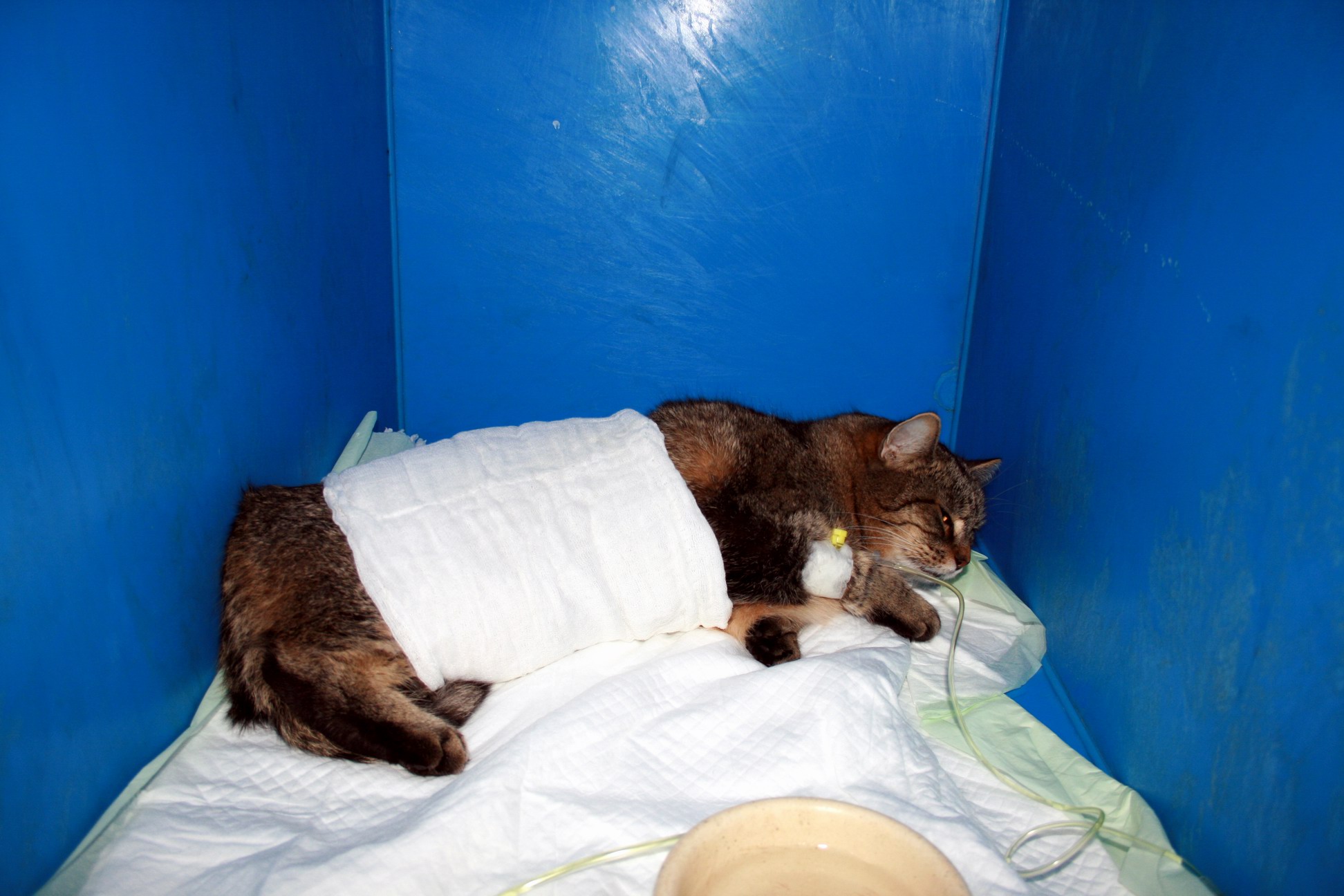 Předoperační a pooperační péče 