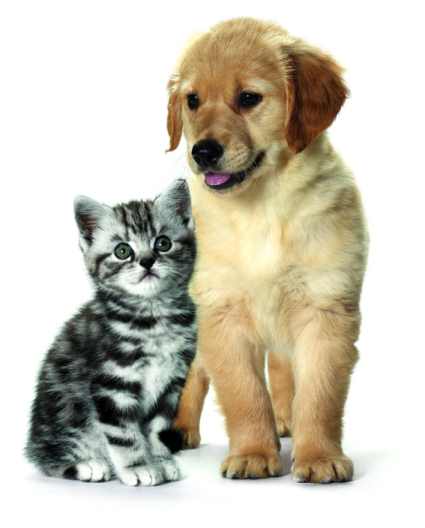 Pro nejlepší start do života