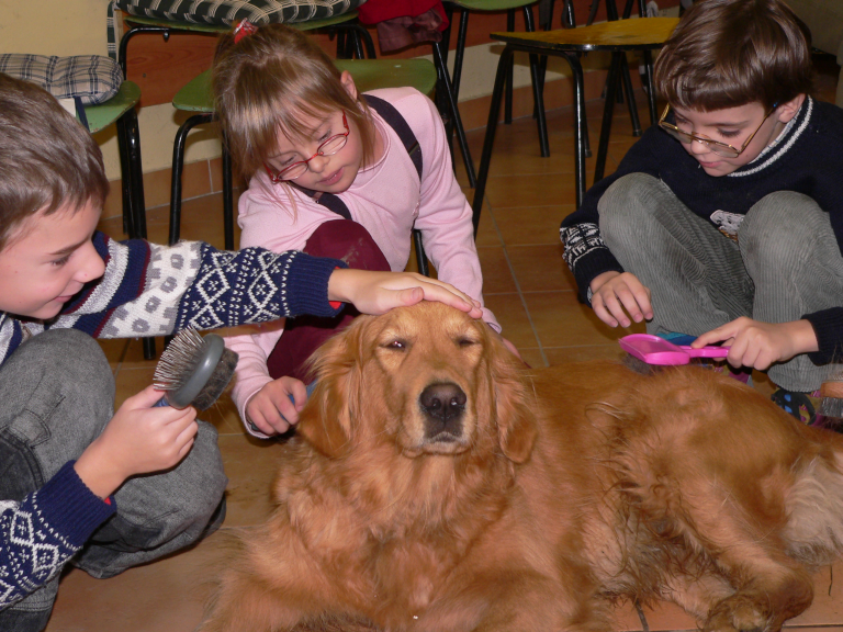 Světový den zvířat