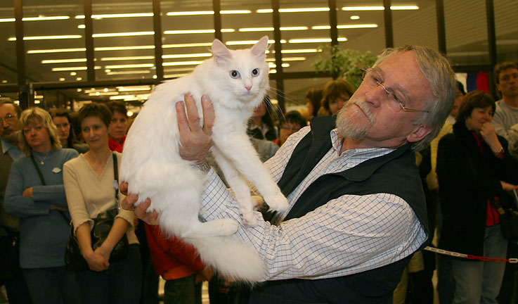  I. a II. STAR SHOW - MEZINÁRODNÍ VÝSTAVA KOČEK