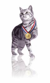 Zvolte zvířecího hrdinu, který vás chytne za srdce