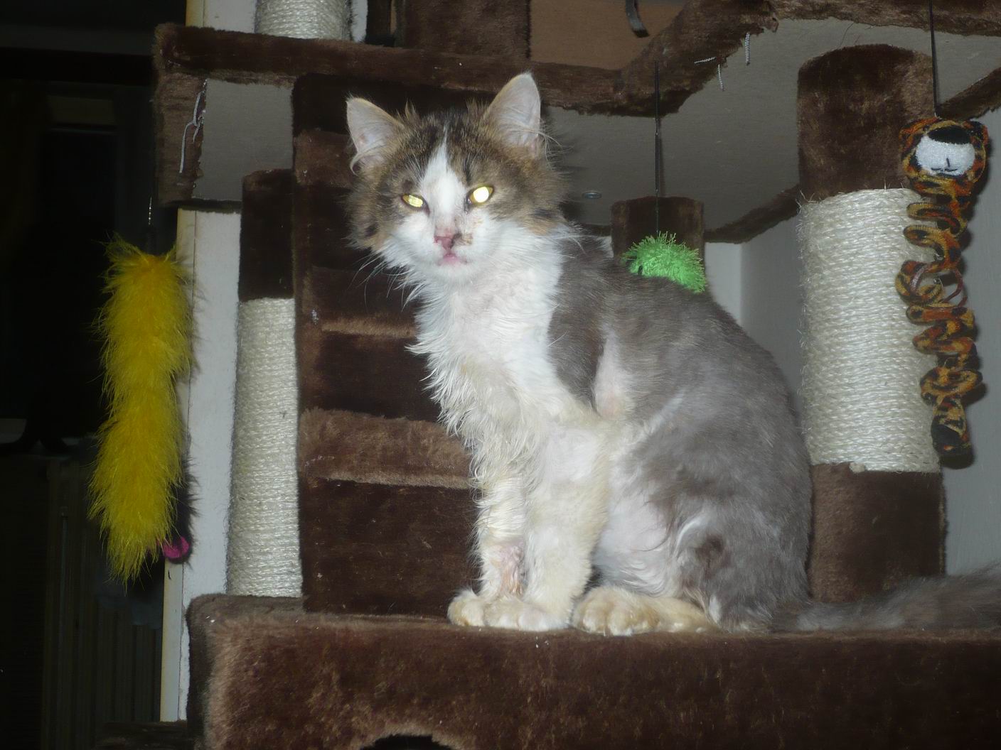 Viktorka - příběh psaný životem