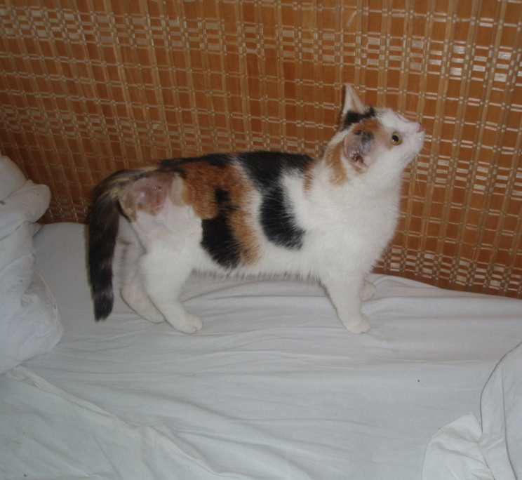 Mili prosí o pomoc...