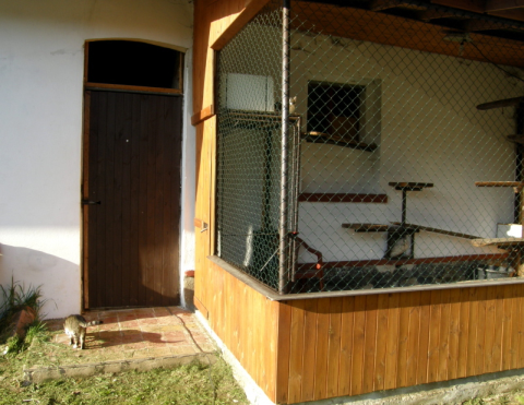 Jarní budovatelská prosba