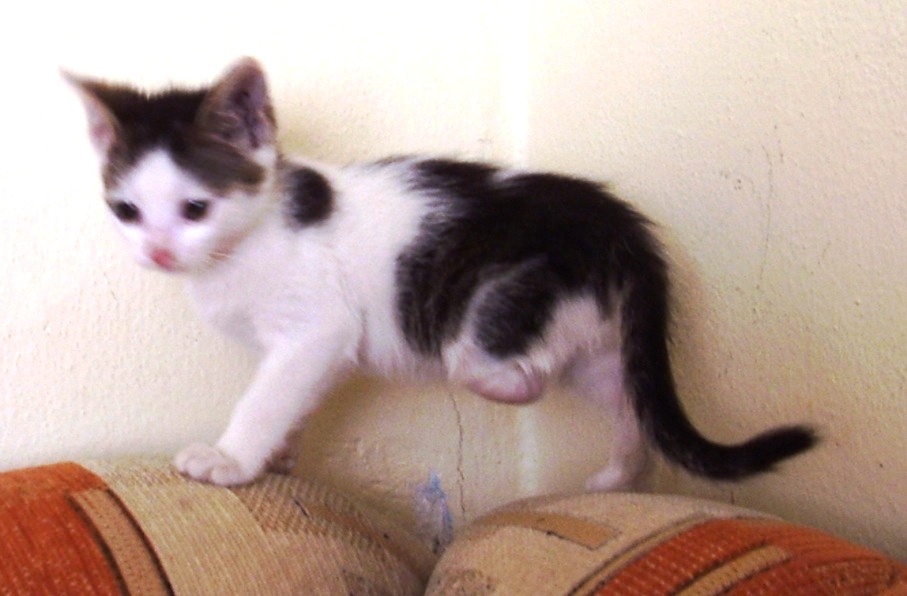 Prosba o pomoc v nouzi