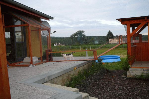 Terasy, výběhy a voliéry