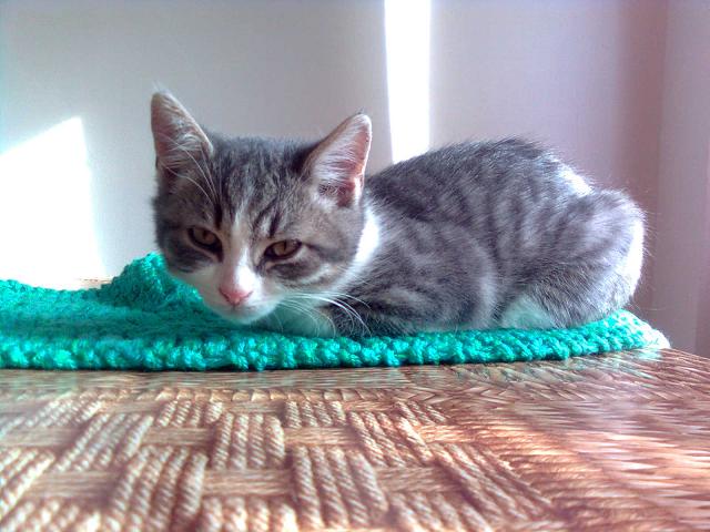 Celorepublikové dny otevřených depozit - 31.7.- 8.8.2010