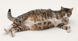 Když čeká mladé...