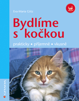 Stále něco nového!