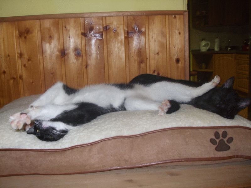 Stále čekáme, že se nám vrátíš