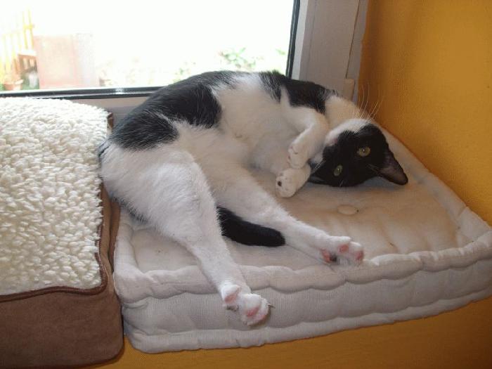 Sbohem Bubáčku, zůstaneš už navždy s námi