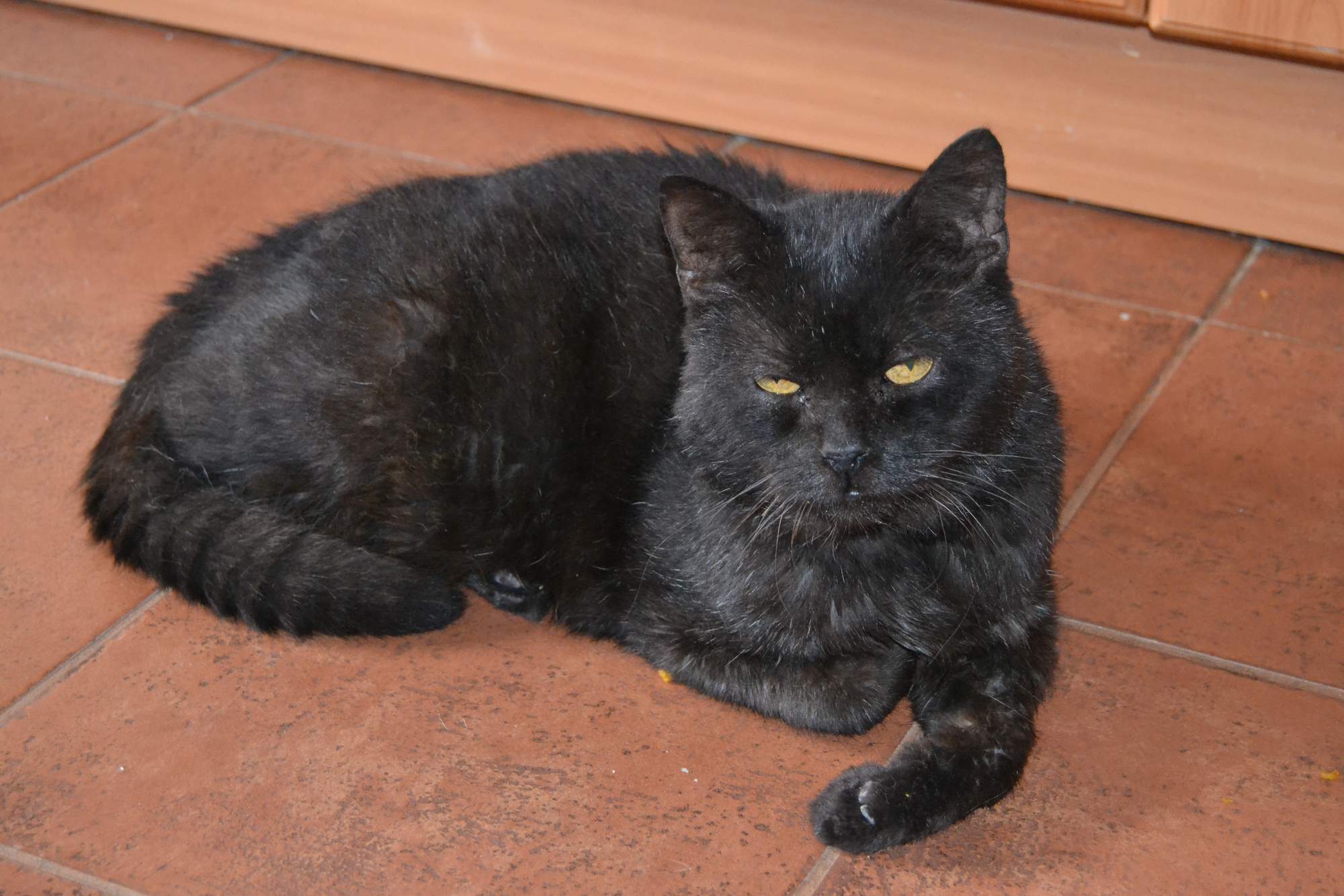 Z blahobytu až na samotné dno - 2.díl