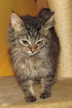 Co bude dál, Matýsku? 