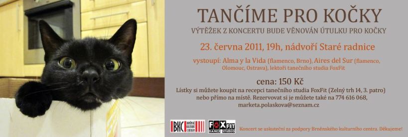 Benefiční taneční představení ve prospěch Kočky SOS Hodonín