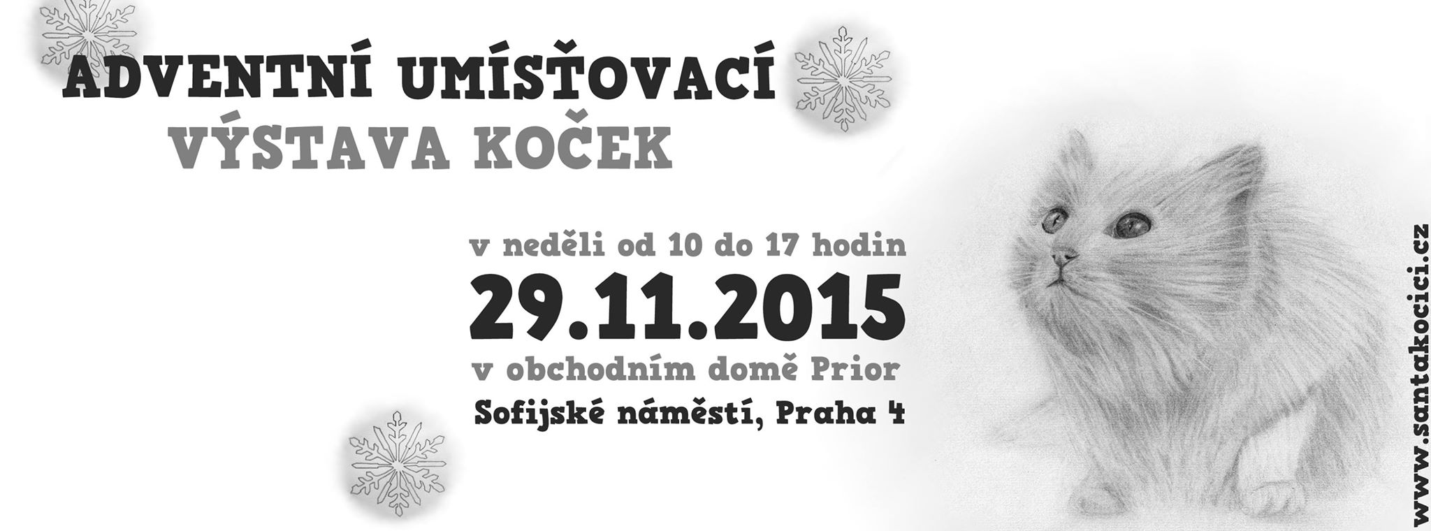 Pozvánka: Adventní umisťovací výstava koček