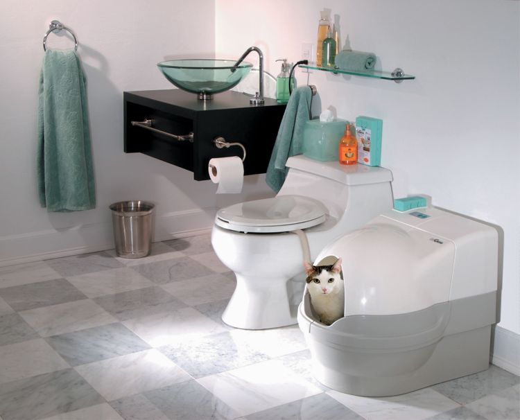 Novinka: samočisticí toaleta pro kočky