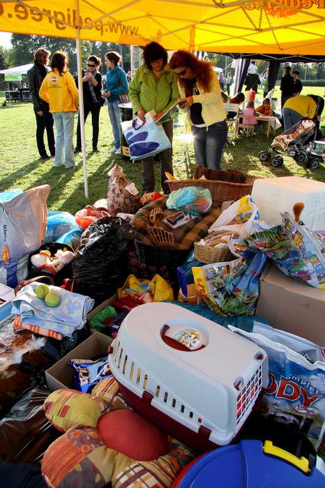 Pozvánka na SVĚTOVÝ DEN ZVÍŘAT