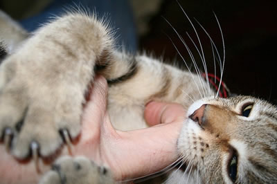 Počkej, já tě pokoušu&#8230;