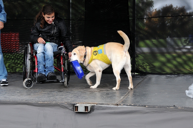 Oslava Světového dne zvířat