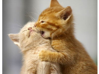 Kdo si hraje, nezlobí...