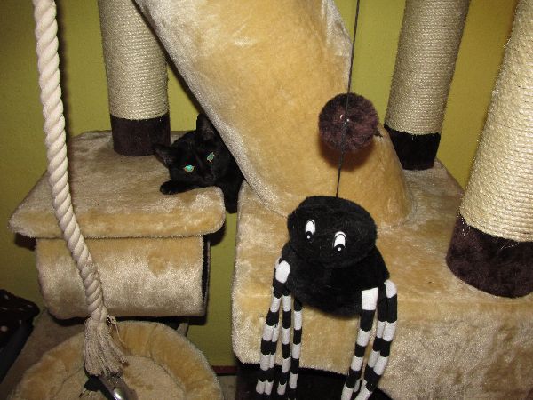 Tajemná a krásná Kleopatra