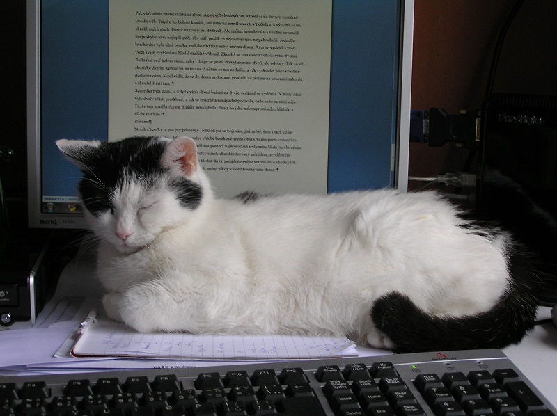 Nesnáším počítač!