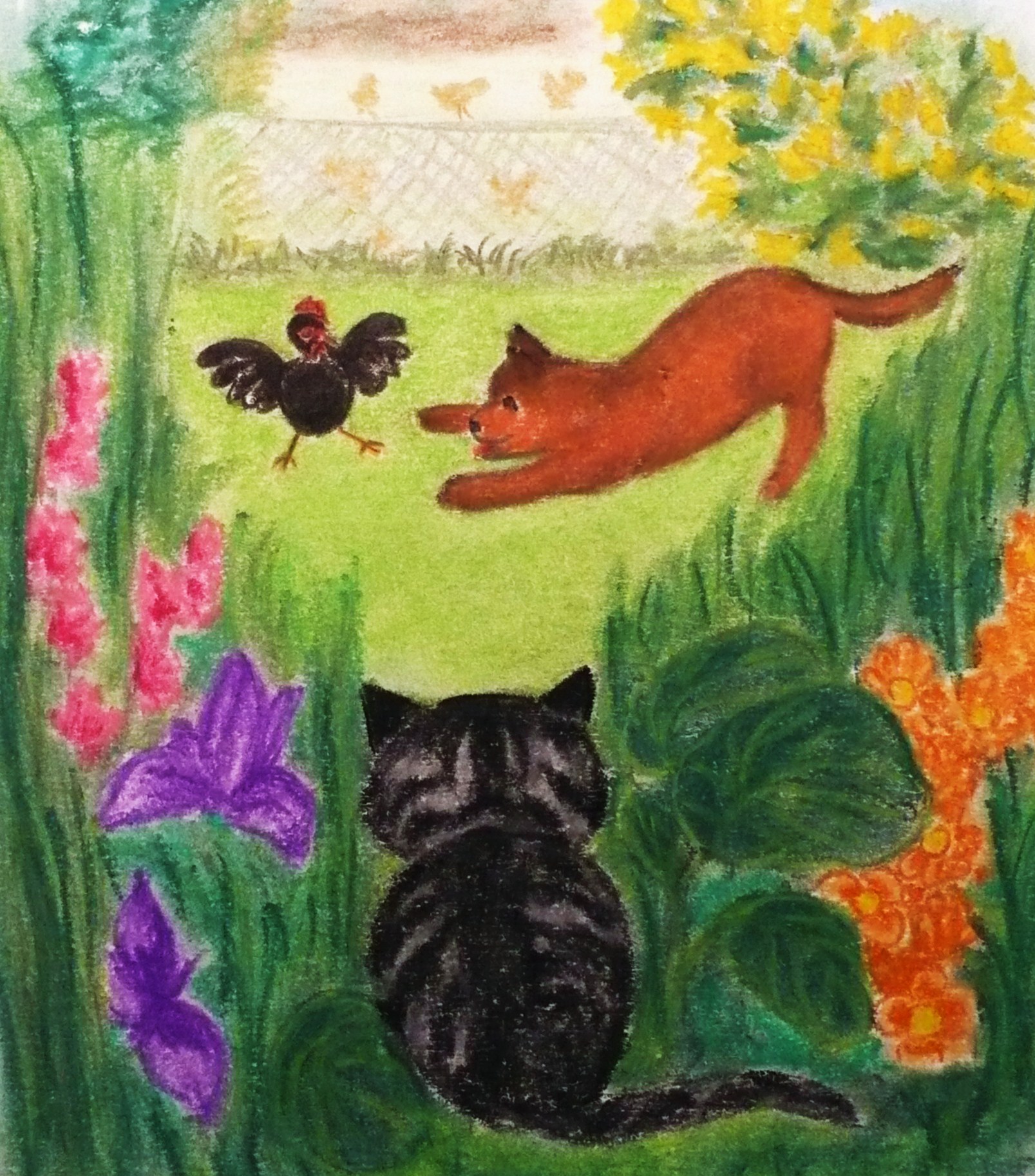 Malé kotě v novém domově