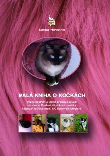 Tip pro příznivce koček