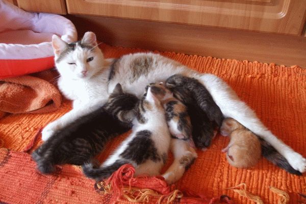 Vzpomínky stařičké Ťapinky