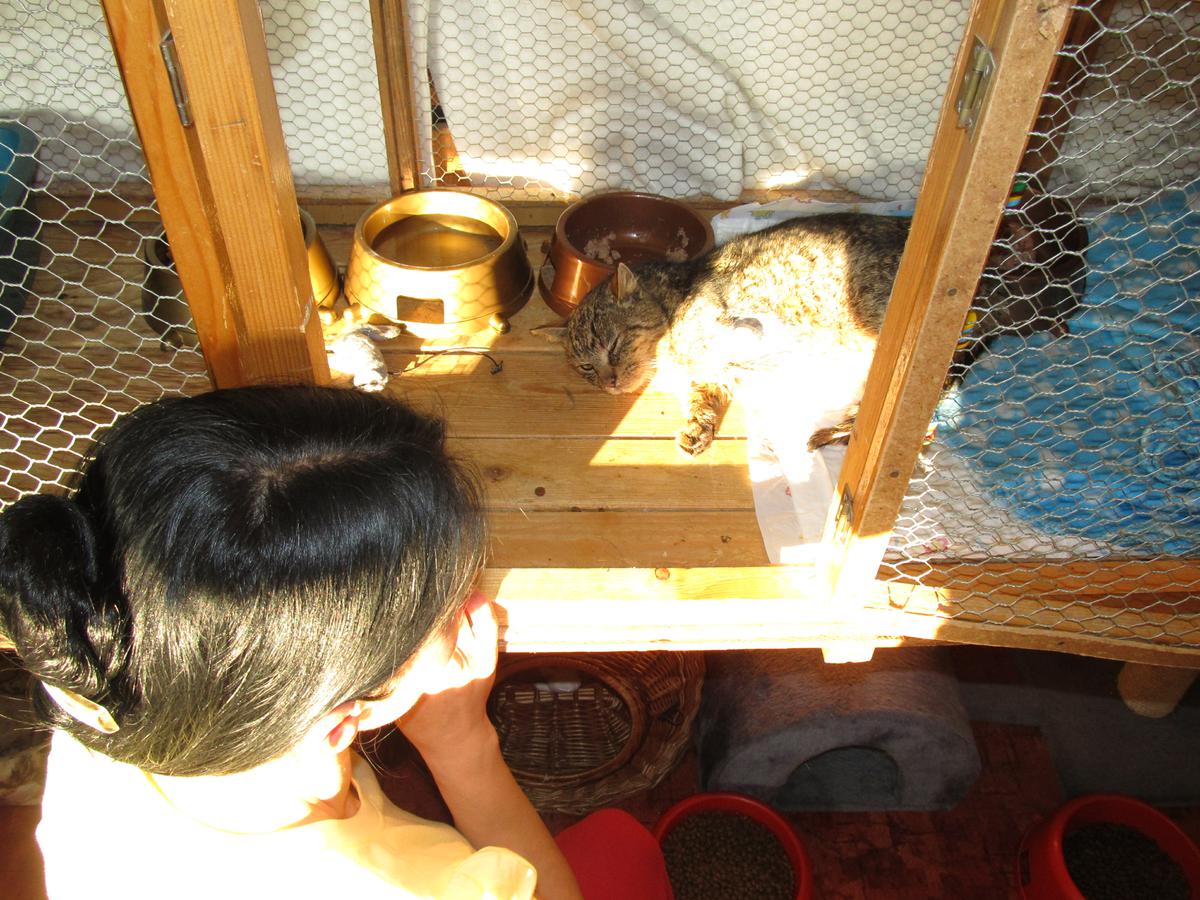 Ringův sedmidenní boj o život, rozloučení a tichá vzpomínka