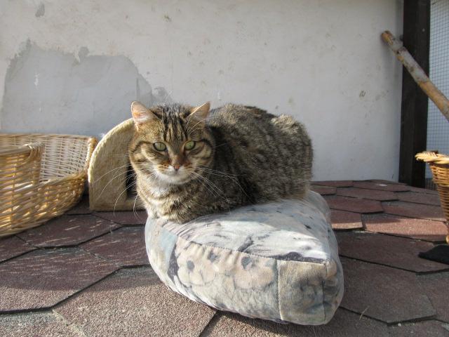 Rozloučení s nezapomenutelnou Třasinkou