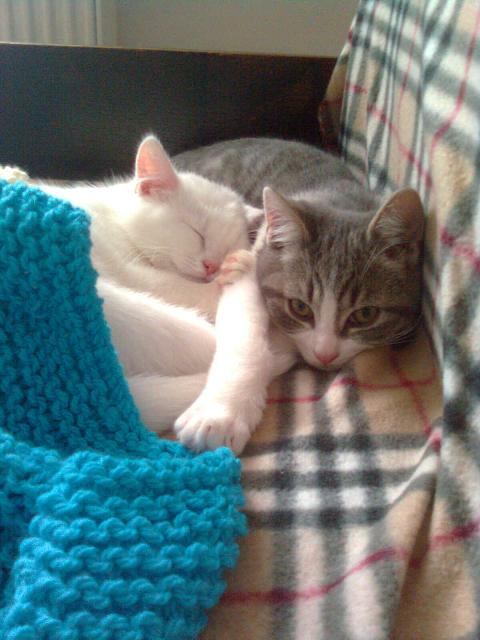 Co je třeba vědět při zdravotní diagnostice?