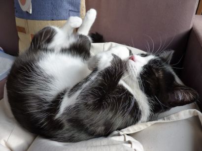 Na prázdniny do hotelu?