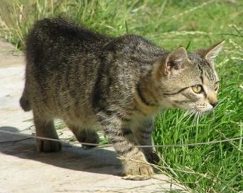 Bojím se o svou bezpečnost!