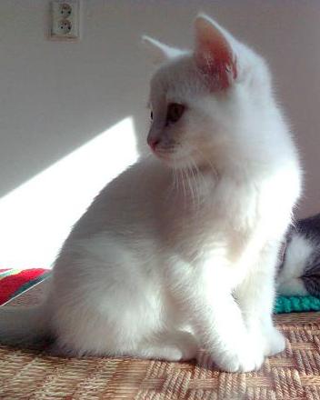 Čistota půl zdraví