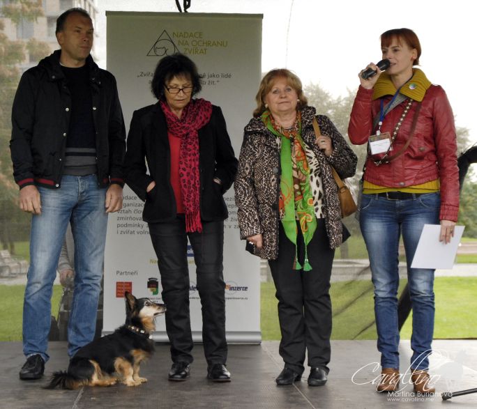 Světový den zvířat - jak bylo?