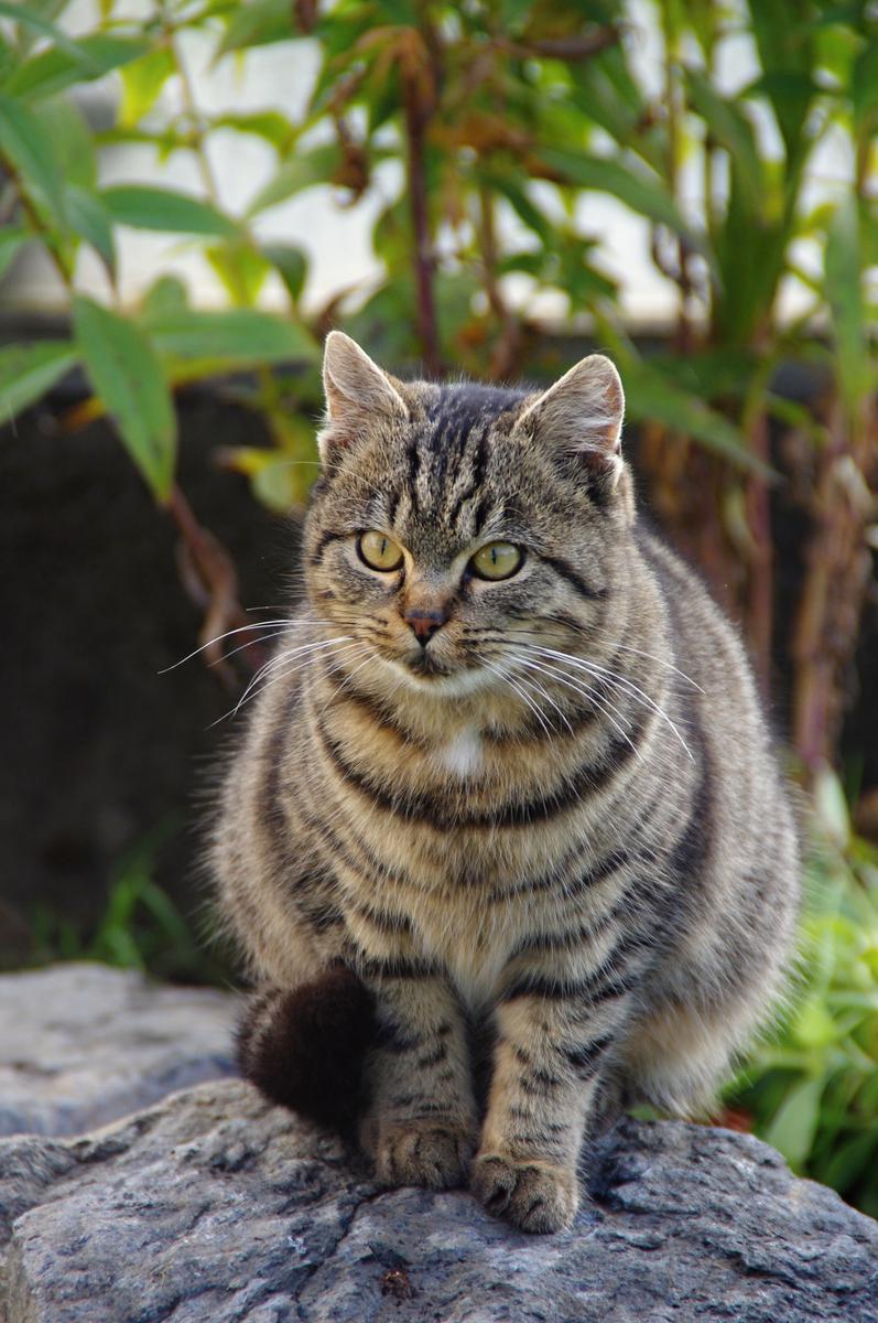 K čemu slouží vitaminy?