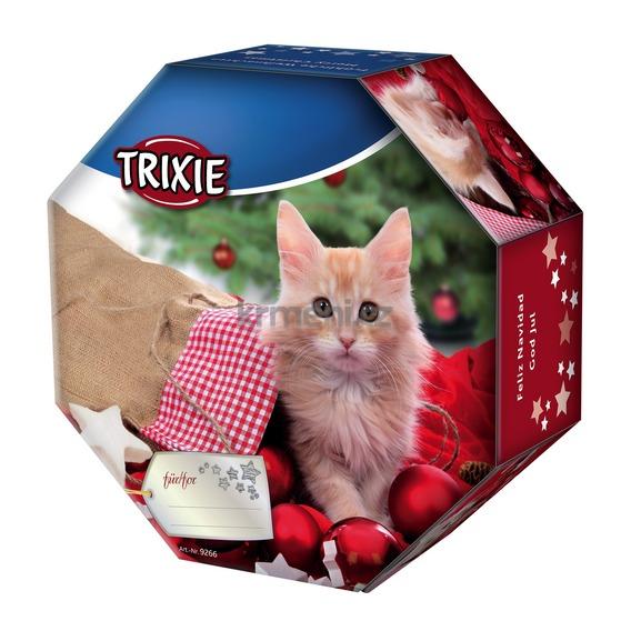 Tipy na vánoční dárky pro kočku