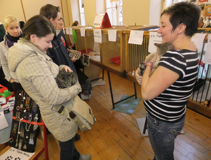 Obrazem:Jak dopadla umisťovací výstava?