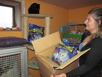 Milión a čtvrt pro kočky bez domova